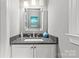 Charming bathroom features a vessel sink, decorative mirror and ample lighting at 9513 Tresanton Dr, Charlotte, NC 28210