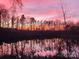 Scenic view of a tranquil lake at sunset, reflecting vibrant pink colors in the water at 1021 Stinson Glen Ln, Charlotte, NC 28214