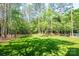 Large grassy backyard surrounded by mature trees providing shade and privacy at 11224 Warfield Ave, Huntersville, NC 28078