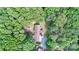 An aerial shot of a charming single-Gathering home nestled amongst mature trees at 3116 Old Montgomery Place Rd, Monroe, NC 28112