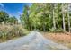 View of long gravel driveway leading through lush green trees to a serene and private property at 3116 Old Montgomery Place Rd, Monroe, NC 28112