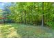 Large grassy area with trees, with a red umbrella and covered cage for animals at 743 Dream Ln, Salisbury, NC 28146