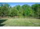 Expansive backyard with lush green grass and a black iron fence, offering plenty of room for outdoor activities at 1260 Thomas Knapp Pkwy, Fort Mill, SC 29715