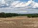 Vast field with harvested crops under a blue and white sky, showcasing rural landscape and open space at 1495 Carson Rd, Cleveland, NC 27013