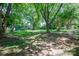 Spacious backyard offers mature trees for shade and space for outdoor activities at 1324 Princeton Ave, Gastonia, NC 28054