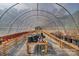 Inside a greenhouse are rows of tables topped with pots and trays of plants at 159 Old Home Pl, China Grove, NC 28023
