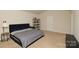 Large, bright bedroom with neutral carpet, black furnishings, and a vaulted ceiling at 2210 Transatlantic Ave, Charlotte, NC 28215