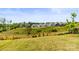 Expansive backyard view showcasing lush greenery and the neighborhood at 329 Secretariat Dr, Iron Station, NC 28080
