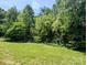 Grassy backyard bordered by lush trees at 874 Old Home Place Way, Lincolnton, NC 28092