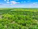 Scenic aerial shot showcasing the lush greenery surrounding a neighborhood at 10200 Cairnsmore Pl # 9, Mint Hill, NC 28227