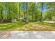 Large, grassy backyard surrounded by mature trees, offering privacy and a peaceful outdoor space at 10200 Cairnsmore Pl # 9, Mint Hill, NC 28227