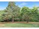 Expansive backyard features lush greenery and mature trees offering privacy and a natural setting at 1100 Mona Dr, Charlotte, NC 28206