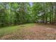 A lush backyard with plenty of open space and mature trees surrounds the residence at 4038 Forest Brook Dr, Edgemoor, SC 29712