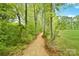 Scenic walking path through the woods, providing a tranquil and natural setting at 9596 Pacing Nw Ln, Concord, NC 28027