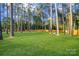 Lush backyard featuring tall trees, a hammock, and ample green space for outdoor enjoyment at 10125 Bethel Church Rd, Midland, NC 28107