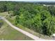 Aerial view of the road leading to a property surrounded by abundant trees and vegetation at 1029 Sullivan St, Wadesboro, NC 28170