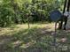 Exterior shot of the yard with a 'dish' satellite attached to a pole at 1029 Sullivan St, Wadesboro, NC 28170