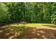 Large backyard featuring a shed and wooded area, providing a serene and private outdoor space at 13030 Mayes Rd, Huntersville, NC 28078