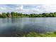 Scenic view of the lake at the community, surrounded by lush greenery and blue skies at 140 Villa Lake Dr, Fort Mill, SC 29708