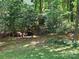 Backyard with mature trees and walking bridge over ravine at 16134 Tinura Ct # 134, Tega Cay, SC 29708