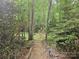 Stone staircase leading to landscaped backyard with mature trees at 16134 Tinura Ct # 134, Tega Cay, SC 29708