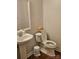 The bathroom features a pedestal sink, toilet, and a decorative vase of flowers at 16134 Tinura Ct # 134, Tega Cay, SC 29708