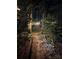 Stone walkway illuminated by garden lights leading to a serene backyard at 16134 Tinura Ct # 134, Tega Cay, SC 29708
