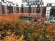 Autumnal trees surround a courtyard with pool, gazebo and manicured green in an urban setting at 300 W 5Th St # 404, Charlotte, NC 28202