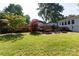Lawn with established garden, trees and a fence in backyard at 3307 Draper Ave, Charlotte, NC 28205