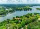 Aerial view of lakefront property featuring lush trees, boat docks, and waterfront access at 16317 Terry Ln, Huntersville, NC 28078