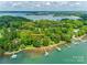 Aerial view of lakefront property featuring lush trees, boat docks, and waterfront access at 16317 Terry Ln, Huntersville, NC 28078
