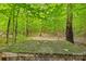 Outside wooded area with a platform table at 5615 American Way, Denver, NC 28037