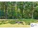 Private backyard with a fire pit and chairs nestled in a serene woodland setting with mature trees at 707 Hester Dr, Dallas, NC 28034