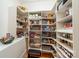 Well-organized walk-in pantry featuring an array of shelving and storage solutions for optimal organization at 7138 Wessynton Dr, Charlotte, NC 28226