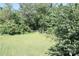 Spacious, tree-lined backyard offers privacy and a connection with nature at 805 Waverly Pl # 16, Statesville, NC 28677
