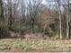 A wooded lot with a mix of trees and undergrowth at 1040 Nc 90 W Hwy, Taylorsville, NC 20681