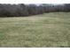 A large field in a rural area at 1040 Nc 90 W Hwy, Taylorsville, NC 20681