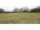 Large open field perfect for building on at 1040 Nc 90 W Hwy, Taylorsville, NC 20681