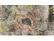 Overhead aerial view of house surrounded by many bare trees at 137 S Penny St, Lancaster, SC 29720