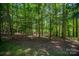 Peaceful wooded area featuring a forest of tall trees and natural ground cover at 174 Buena Vale Dr, Gastonia, NC 28056