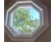Octagonal window looking out on mature trees at 11622 Lioness St, Charlotte, NC 28273