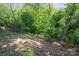 Backyard area shows trees and foliage with a sloped backyard at 1175 Valley St # 111, Statesville, NC 28677