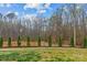 Home with a landscaped backyard and privacy trees at 154 Cotton Field Dr, Statesville, NC 28677