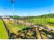 View of well-maintained baseball field with manicured grass and professional netting at 1540 Striped Bass Ln, Clover, SC 29710