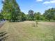 Expansive backyard with mature trees offering ample space and natural beauty at 4101 New Castle Ln, Monroe, NC 28110