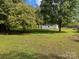 Spacious backyard with a shed and mature trees at 1001 Old Charlotte Rd, Concord, NC 28027