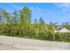 Wooden balcony surrounded by vibrant greenery offering a private outdoor space and scenic views at 1206 Keydet Dr, Charlotte, NC 28216