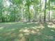 Backyard featuring a lawn and woods at 145 Woodview Dr, Statesville, NC 28625