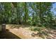 Spacious backyard bordered by mature trees, offering privacy and a serene outdoor space at 1975 Peace Rd, Fort Mill, SC 29715