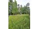 Spacious backyard surrounded by mature trees and a well-maintained lawn at 414 Fulton Dr, Kings Mountain, NC 28086